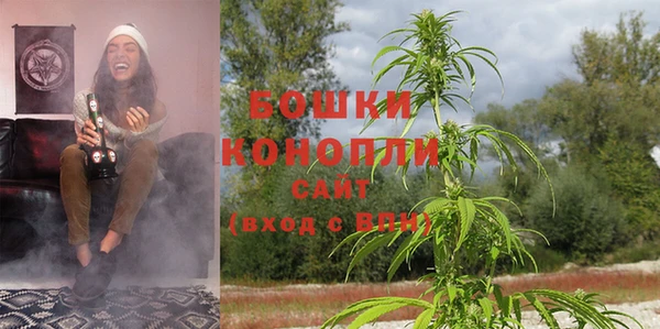 трава Беломорск
