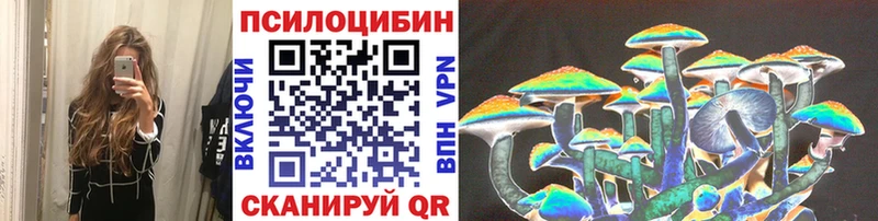 Галлюциногенные грибы Psilocybine cubensis  Купить где  Луза 